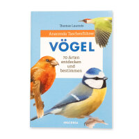 Vögel - 70 Arten entdecken und bestimmen